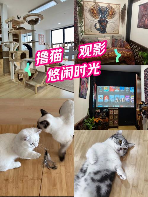 美女一级片av的相关介绍