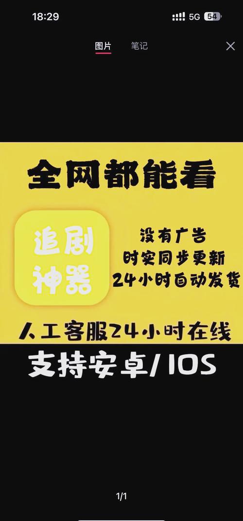 皮特影院手机在线观看免费的相关介绍