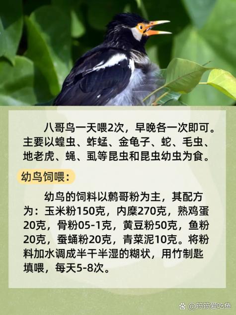 熟女人妻啪啪视频的相关介绍
