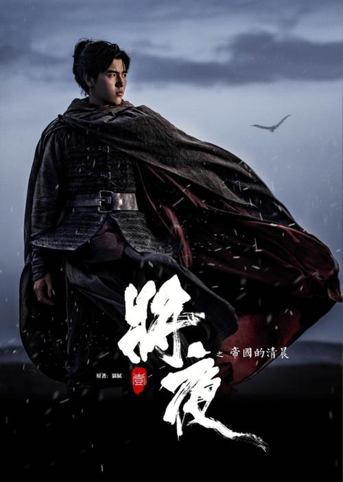 夫妻看的毛片的相关介绍