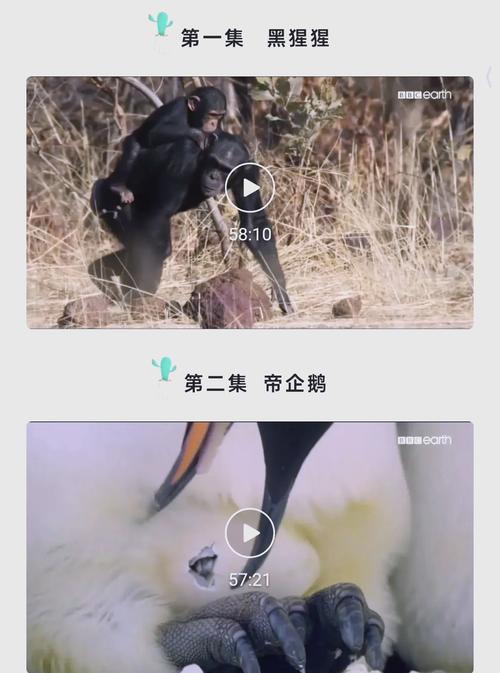 91真实人妻宾馆露脸的相关介绍