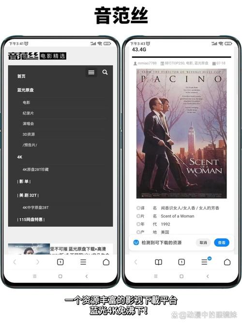 五月丁香影院的相关介绍