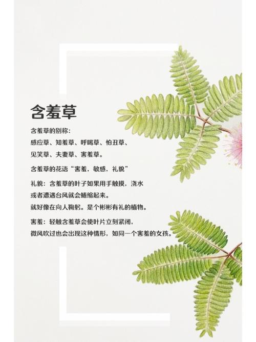 啪啪人妻天堂的相关介绍