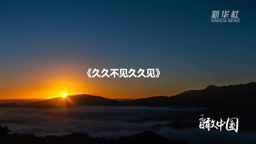 汤姆影院的相关介绍
