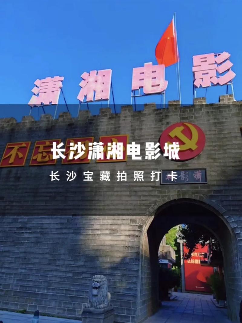 美女黄18岁的相关介绍