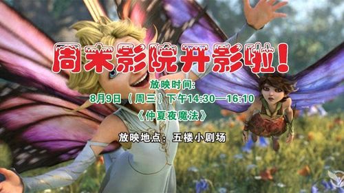 国产精品美女久久久久久不卡的相关介绍