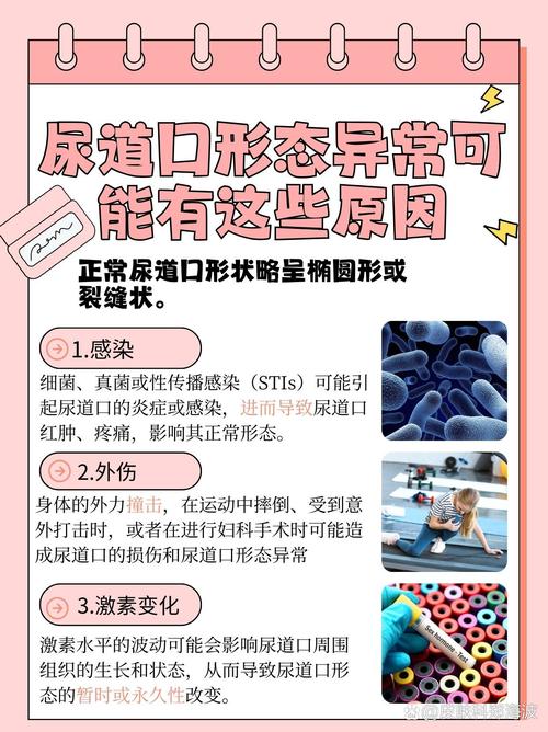 美女老师让我操她视频的相关介绍