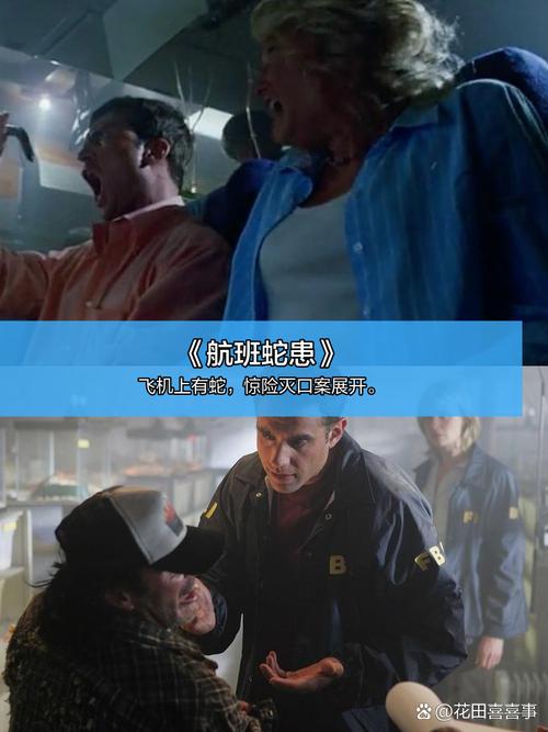 国产精品 ——色网的相关介绍