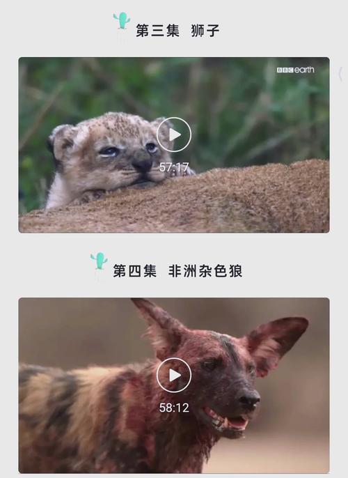 老司机影院午夜剧情的相关介绍