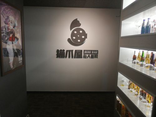亚洲精品乱码久久久久久蜜桃91的相关介绍