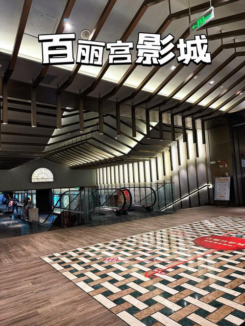 撸撸影院的相关介绍