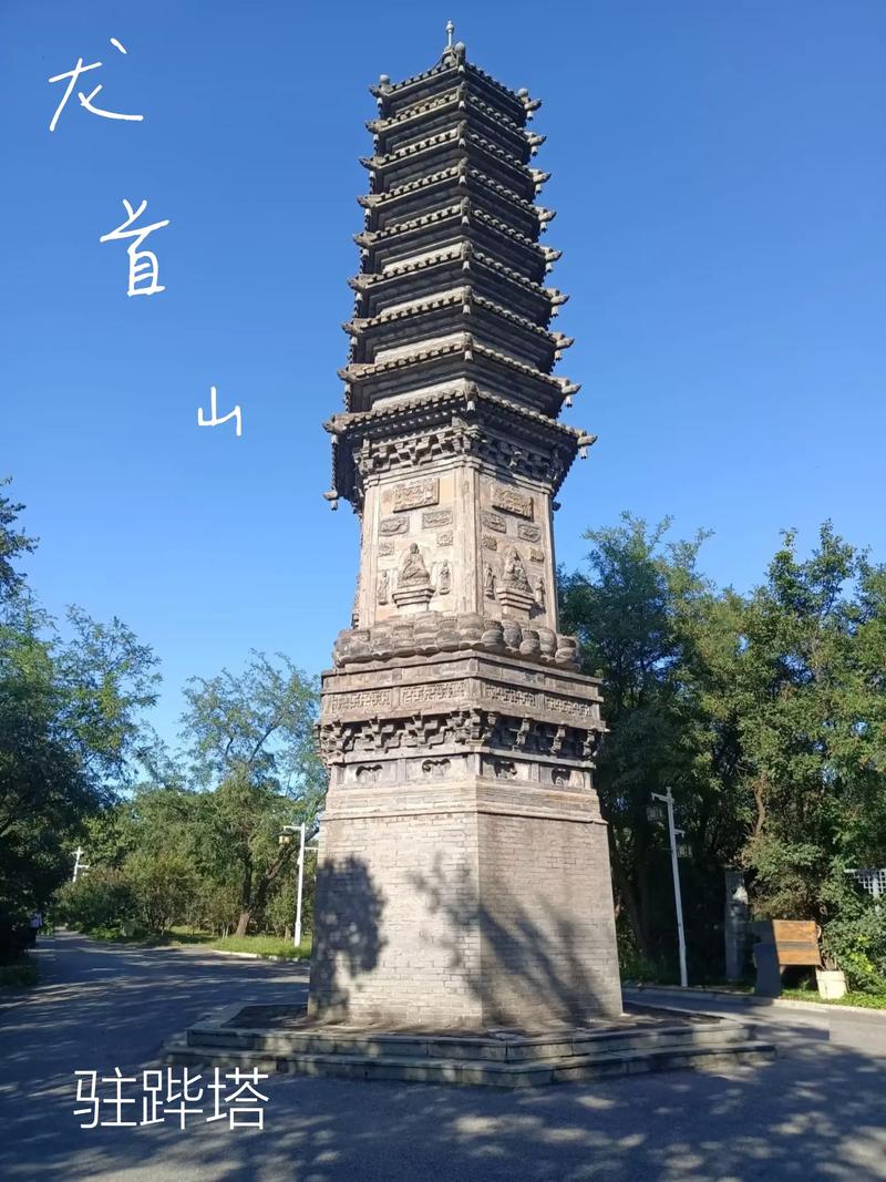 女人下面黄色分泌物的相关介绍