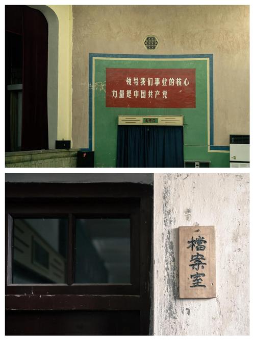 麻豆91传媒视频的相关介绍