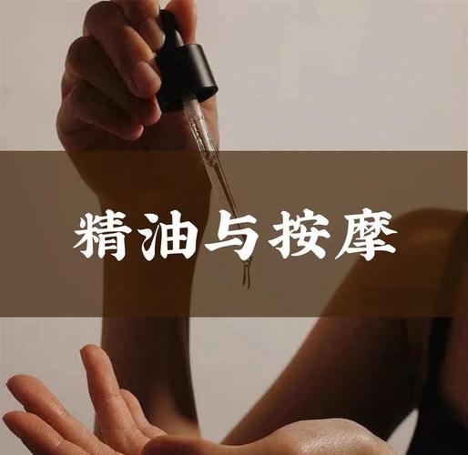 18禁动漫在线观看网站的相关介绍