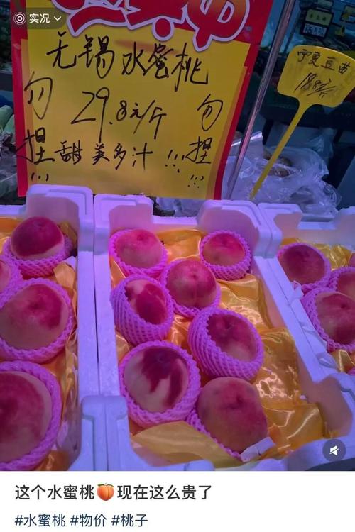 啪啪啪文章老师的相关介绍