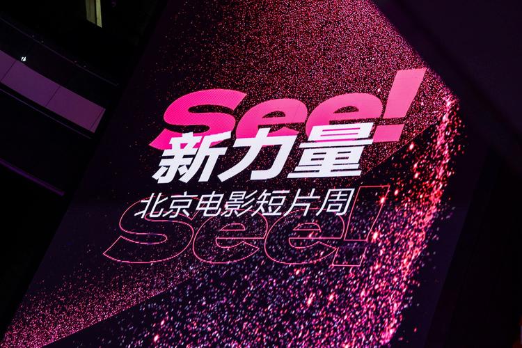 首都电影院西单店的相关介绍
