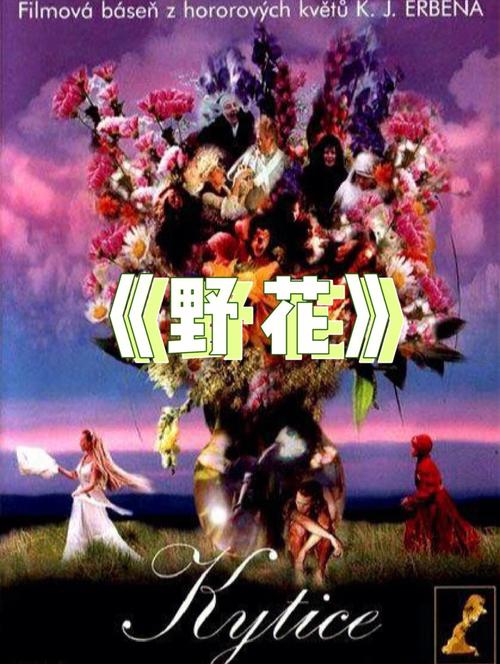 av毛片在线播放的相关介绍