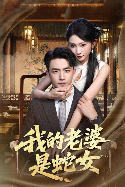 人人dvd影院的相关介绍