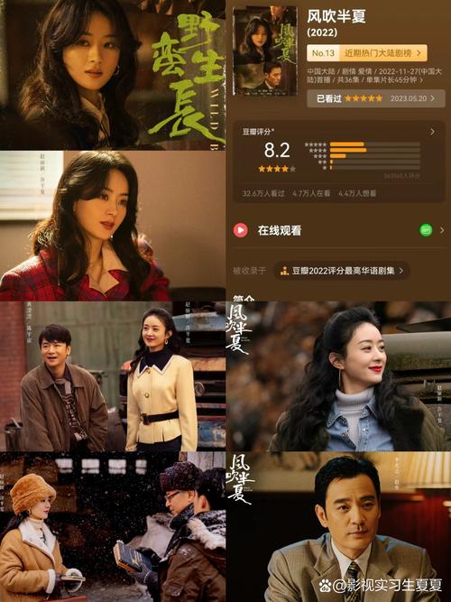 大人晚上看的毛片的相关介绍
