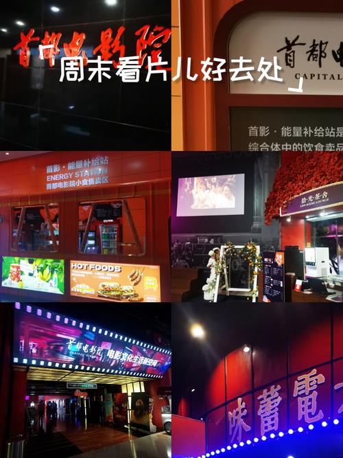 神马电影第九影院y的相关介绍
