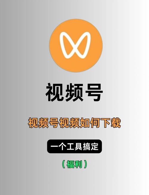把女人操出白浆的相关介绍
