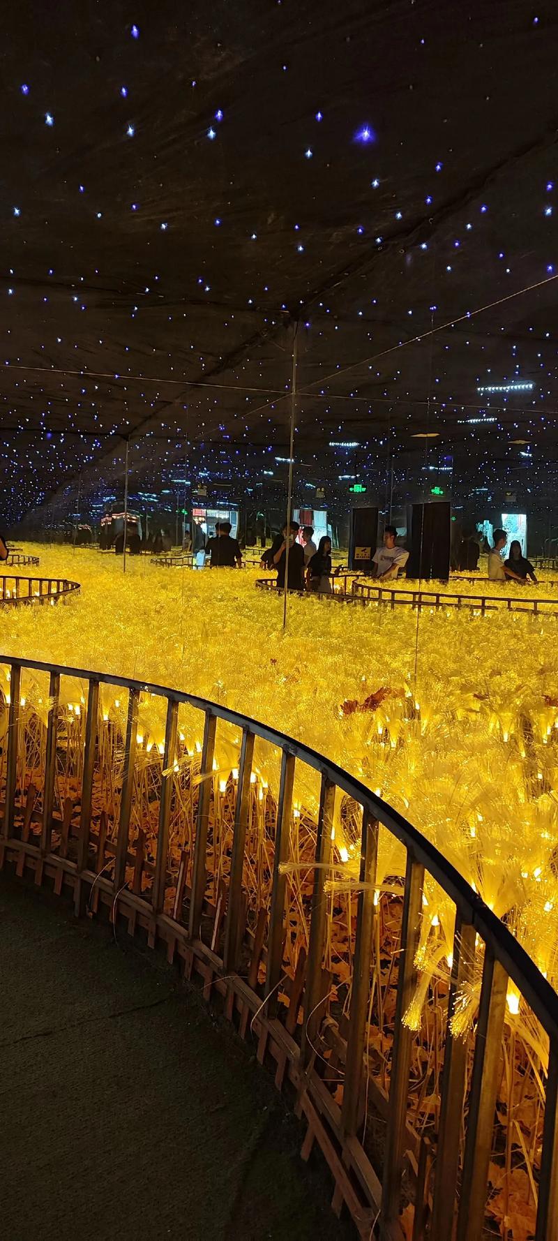 色帽子影院爱奇艺乐视优酷的相关介绍