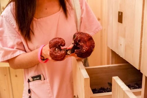 男女做羞羞事动漫的相关介绍
