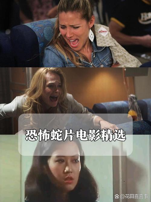 va一区二区在线观看的相关介绍
