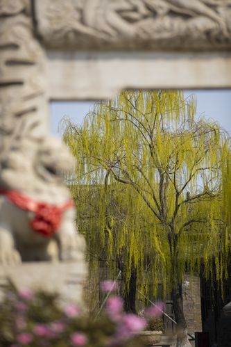 酒店操人妻图片的相关介绍