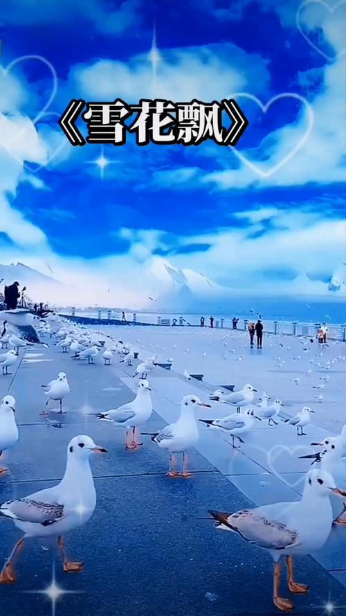 欧美影院的相关介绍