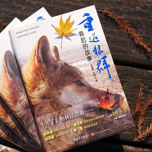 国产av黑丝的相关介绍