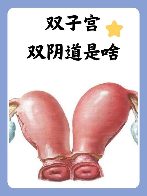 诚丰电影院的相关介绍