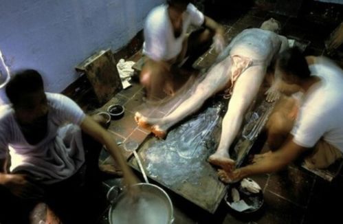 茶杯狐影院的相关介绍