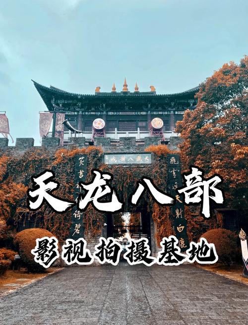 成年人亚洲毛片的相关介绍