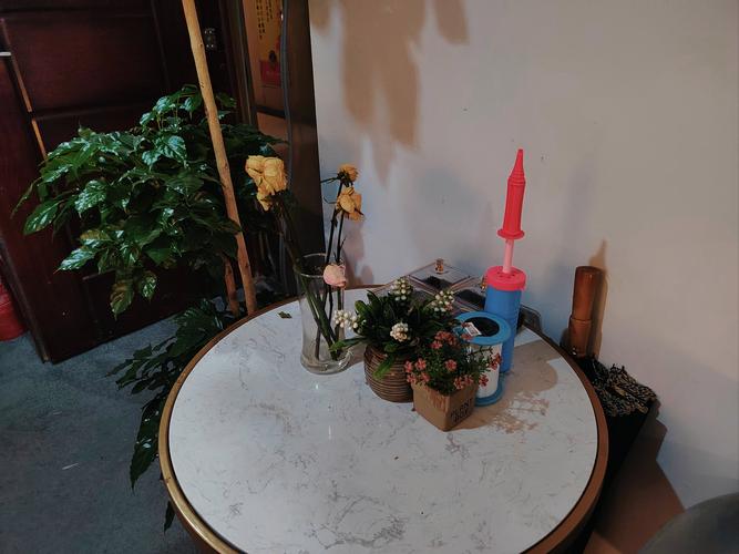 国模吧西西大尺度掰b摄影的相关介绍