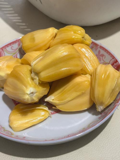 极速影院免费官方下载的相关介绍