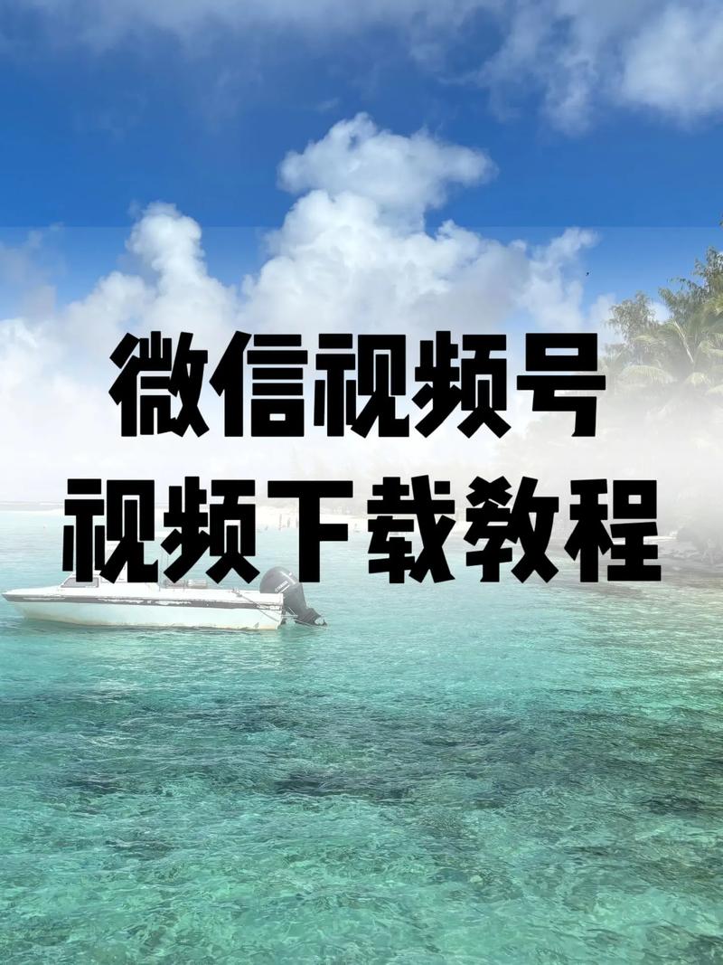 毛片av在线尤物一区二区的相关介绍
