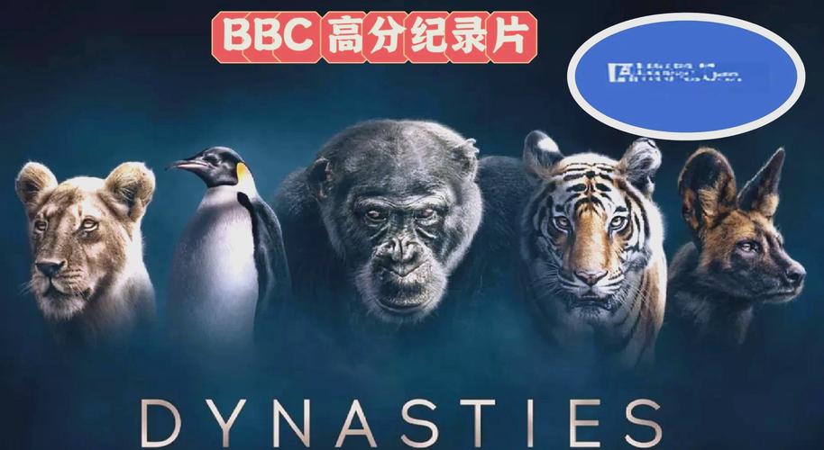 老师总是内射我的相关介绍