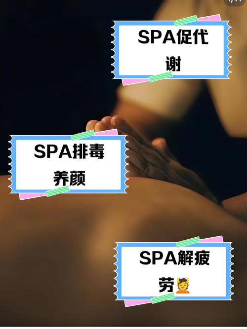 泰迪影院的相关介绍