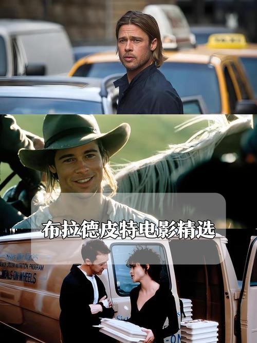精品久久激情的相关介绍