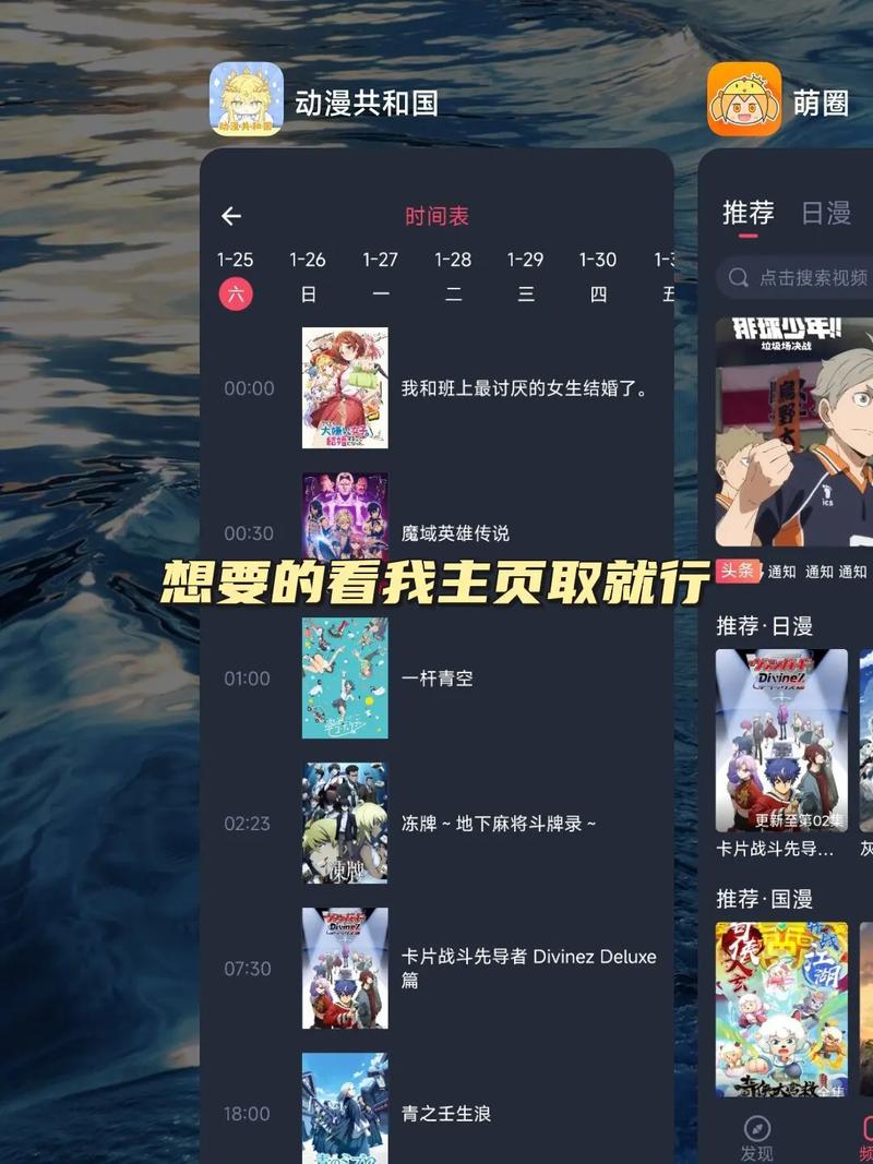 免费的成年私人影院网站的相关介绍