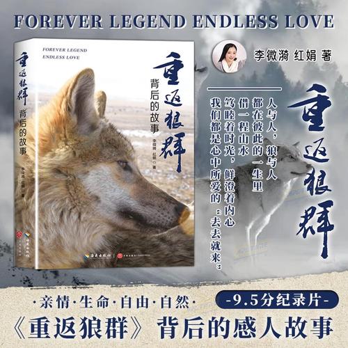 日韩性成人影院的相关介绍