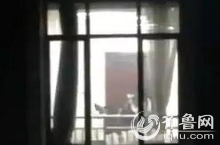 月光影院在线观看免费版高清的相关介绍