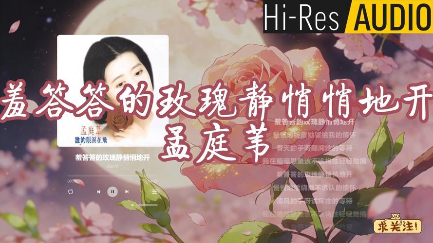 韩伦影院的相关介绍