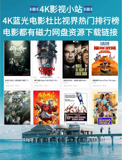 神马影院第九影院yy6080的相关介绍