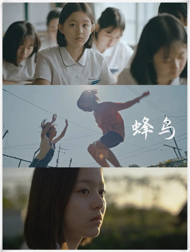 老湿机影院免费观看的相关介绍