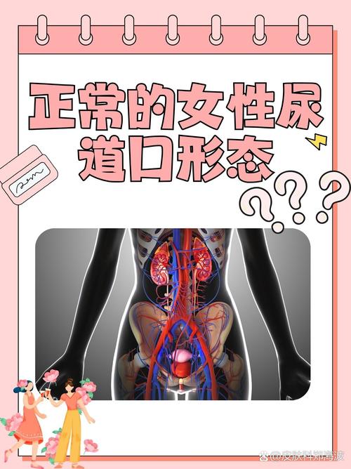 欧美一区二区三区久久综八木的相关介绍